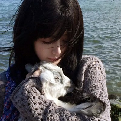小贵族